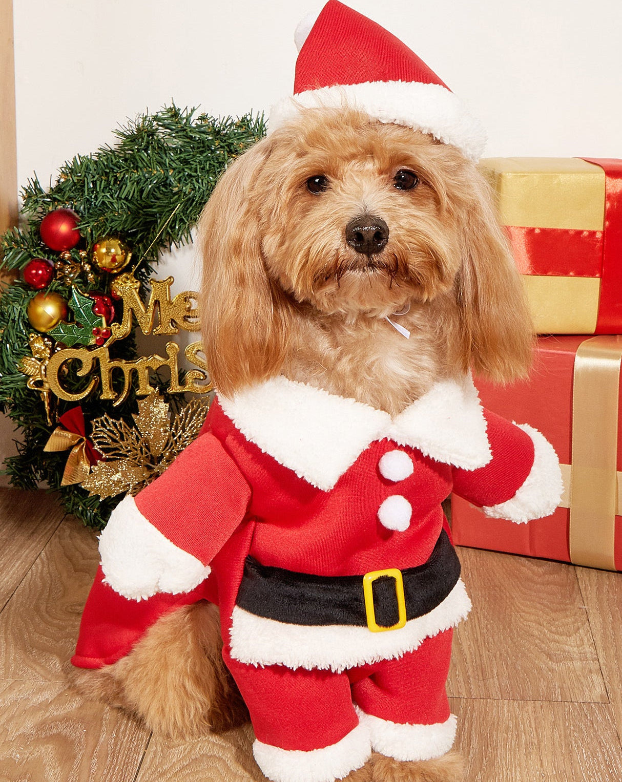 Christmas Pet Small Dog Pet Costume